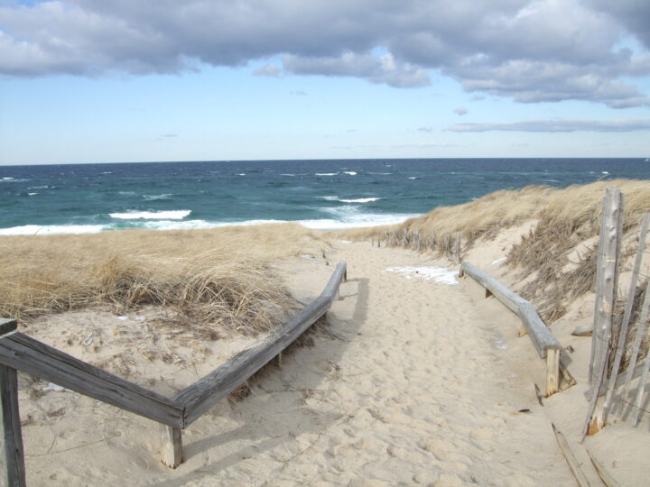 Cape Cod Beach