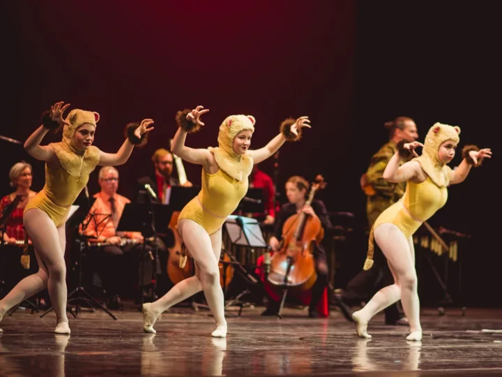 Performance at the Hanover Theatre