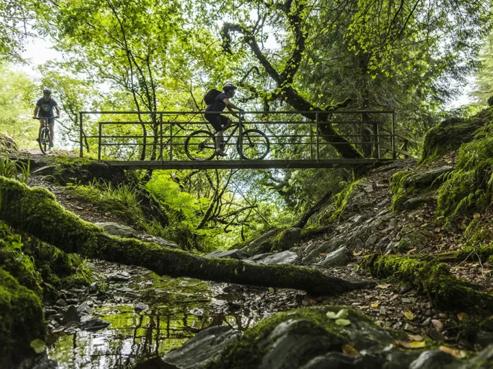Mountain biking trail