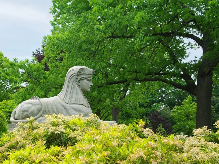 Sphynx statue