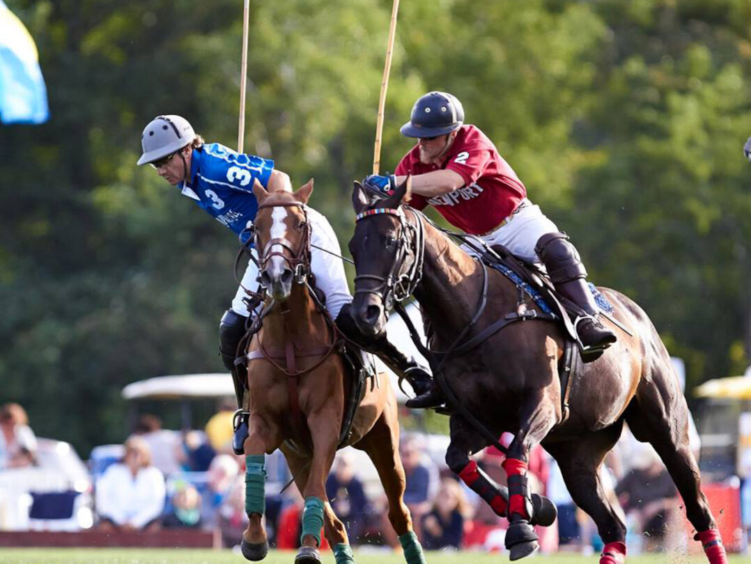 newport polo