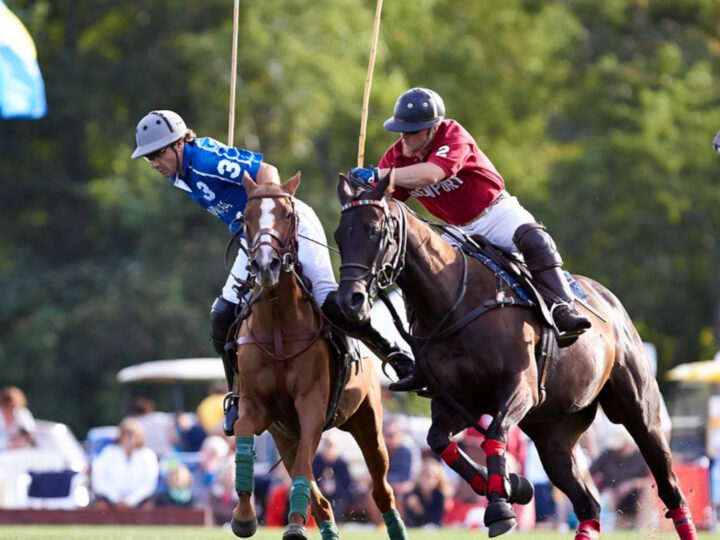 newport polo