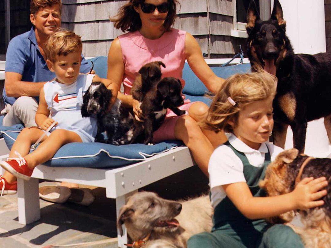 JFK, Pets