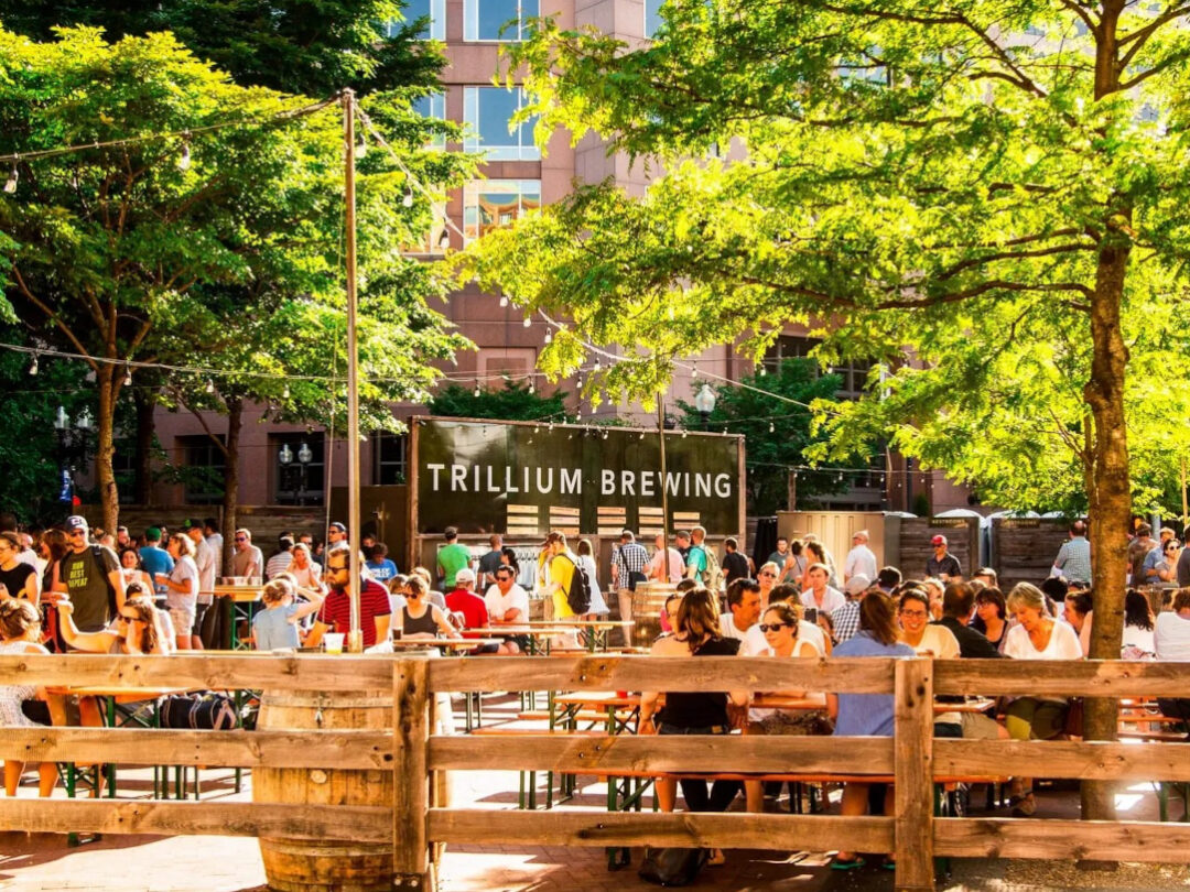 Irish American Partnership, Trillium, Young Partners