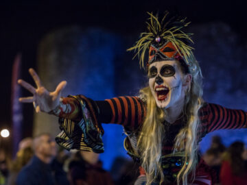 ireland, puca festival