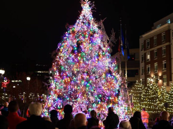 Quincy Generals Bridge Park Tree Lighting