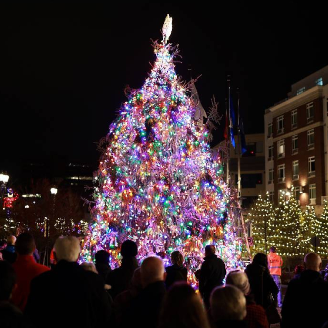 quincy-generals-bridge-park-tree-lighting Quincy Generals Bridge Park Tree Lighting
