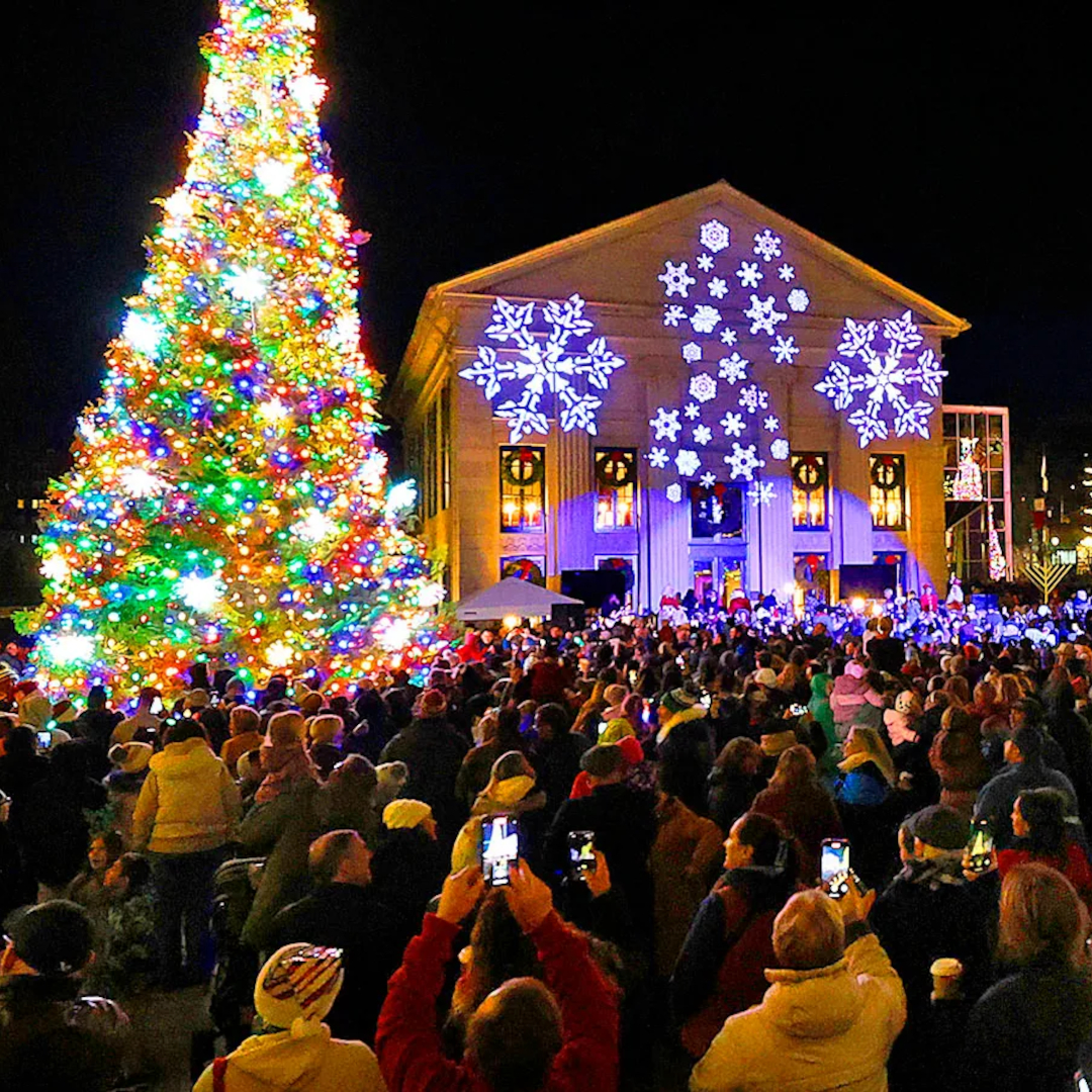 Quincy Tree Lighting