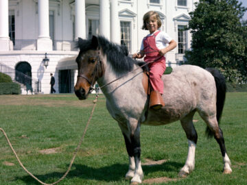 caroline kennedy macaroni 1080 x 810