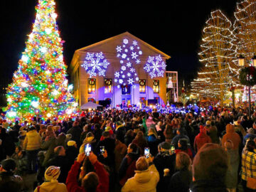 Quincy Tree Lighting