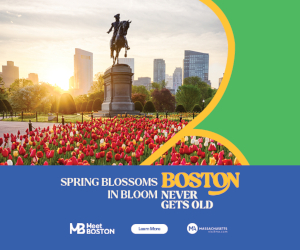 Meet Boston (medium)