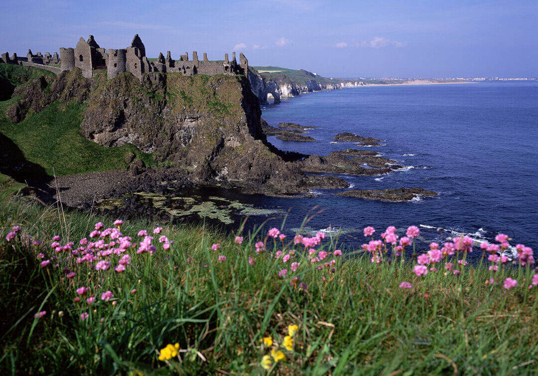 Dunluce Castle Co. Antrim
