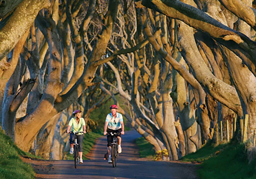 GOT-Dark-Hedges-Co-Antrim Cyclying through the Dark Hedges, County Antrim