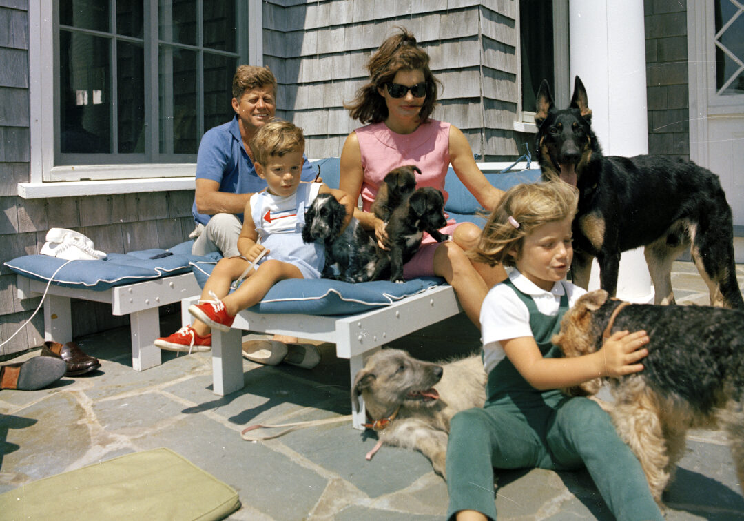 Jfk-cape-dogs kennedy family, cape cod, jfk library