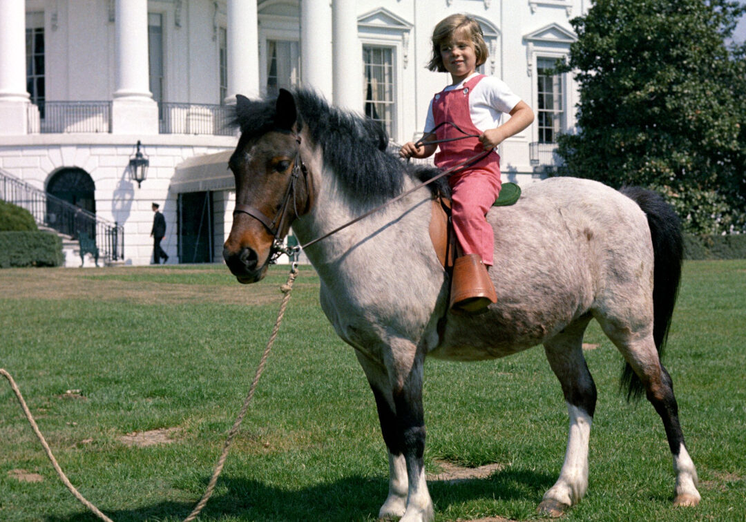caroline kennedy macaroni 1080 x 810